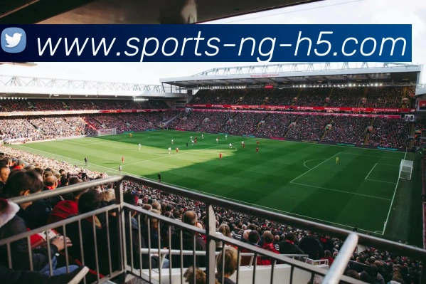 App Interface Preview